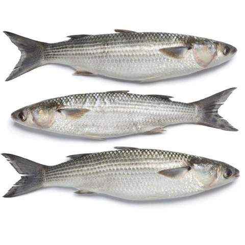 (287) 700g Cá Đối (2-3 con)