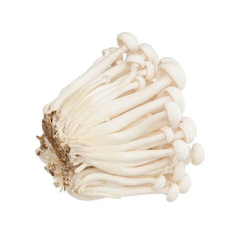 (84) Gói 100g Nấm Linh Chi Trắng