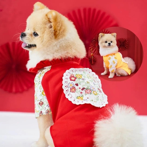 Phụ Kiện Thú Cưng Áo Dài Tết Hoa Ren Cho Chó Mèo