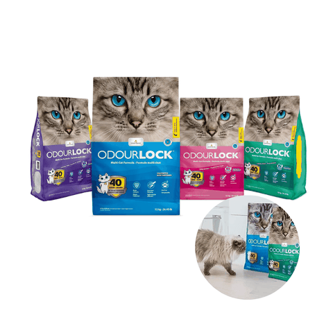 Cát Đất Sét Mèo Cao Cấp Odourlock (Canada)