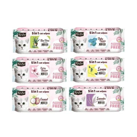 Khăn Giấy Ướt Kháng Khuẩn, Tắm Khô Cho Mèo Kit Cat (80 Miếng)