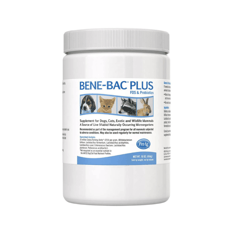 Men Tiêu Hoá Cho Chó Mèo Bene-Bac