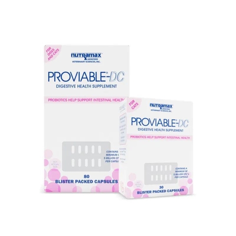 Men Tiêu Hoá Cho Chó Mèo Nutramax Proviable (USA)