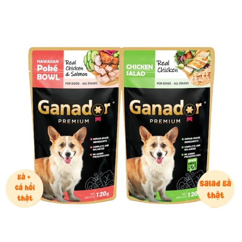Pate Cho Chó Mọi Lứa Tuổi Ganador Thịt Gà (120g)