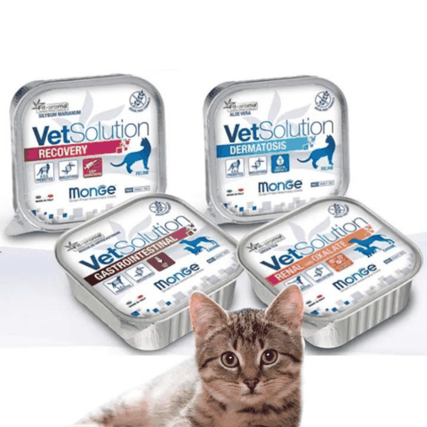Pate Mèo Monge Cat Vet Solution Chăm Sóc Sức Khỏe (100g)