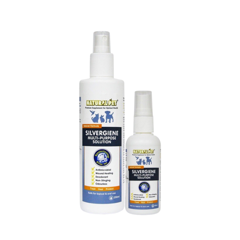 Xịt Nano Bạc Đa Năng Cho Chó Mèo Silvergiene (60ml)