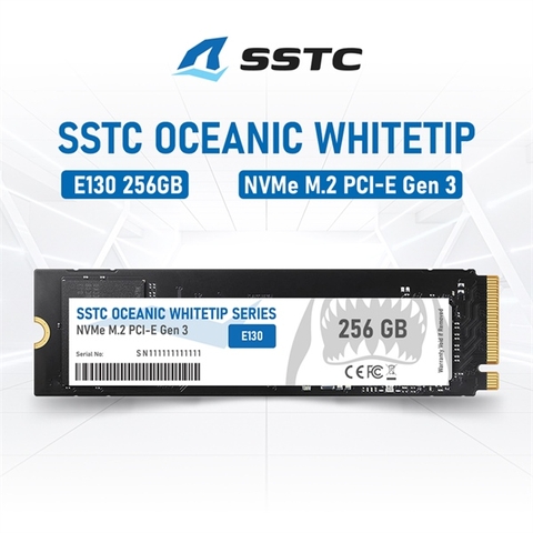SSD SSTC 256Gb E130 Oceanic Whitetip E130 W2100-R1300 Mb/S M.2 2280 Nvme Pcie Gen 3