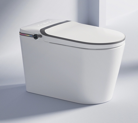 BỒN CẦU THÔNG MINH NV - 933