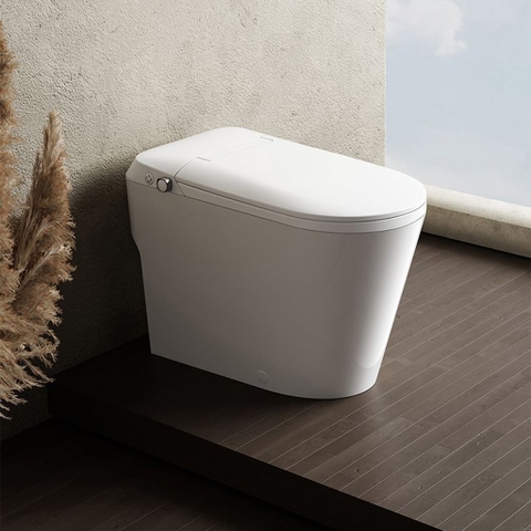 BỒN CẦU BÁN THÔNG MINH NV - 6809