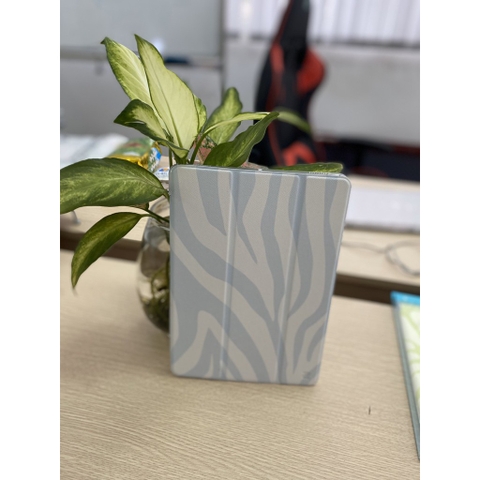 Bao Da cho Ipad 2017 Rockspace