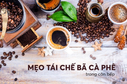Mẹo tái chế bã cà phê trong căn bếp