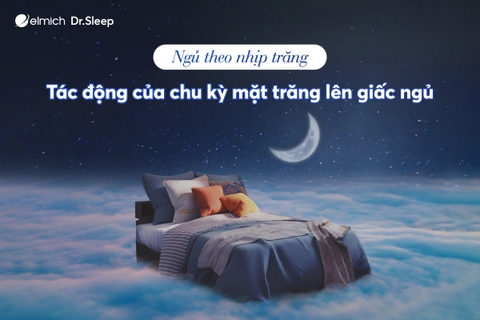 Ngủ theo nhịp trăng – Tác động của chu kỳ mặt trăng lên giấc ngủ