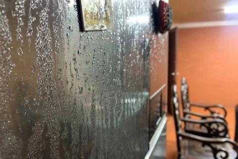 Nồm là gì? Giải pháp khắc phục khi nhà bị nồm ẩm