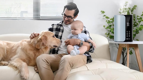 Độ Ẩm Và Sức Khỏe: Độ Ẩm Lý Tưởng Cho Không Gian Sống