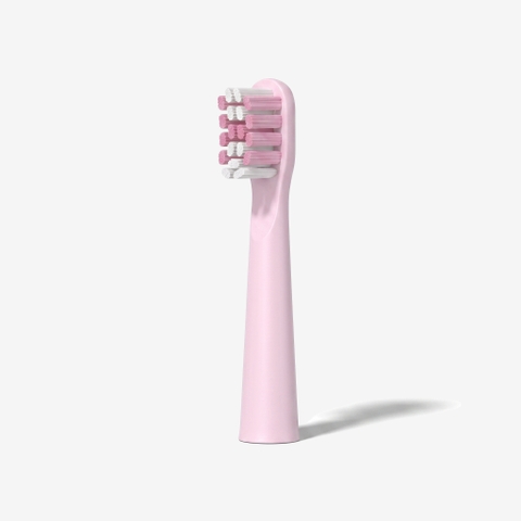 Đầu bản chải thay thế cho TBE-8454BK/WT/PK