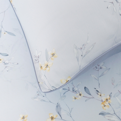 Bộ Ga Gối 100% Tencel 300T ETP06