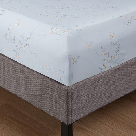 Bộ Ga Gối 100% Tencel 300T ETP06