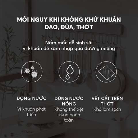 Máy sấy khử khuẩn dao, đũa, thớt Elmich DHE9262