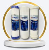 Lõi lọc Forseti