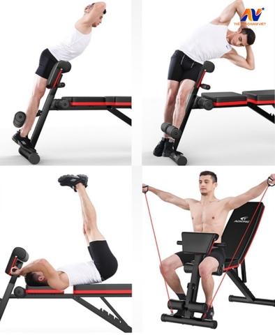 10 bài tập với ghế tập tạ tại nhà hiệu quả nhất cùng TGsport.vn