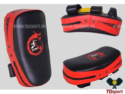 Đích đá cao cấp Wolon W866