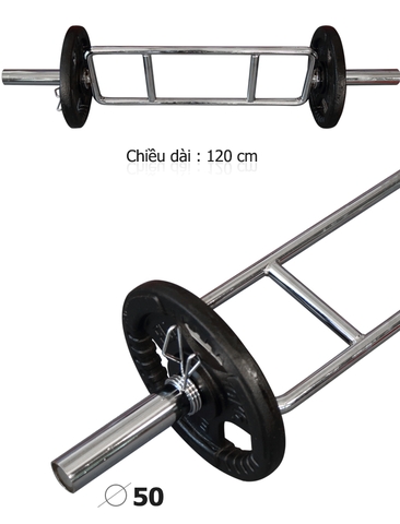 Đòn tạ chữ H lỗ tạ phi 50
