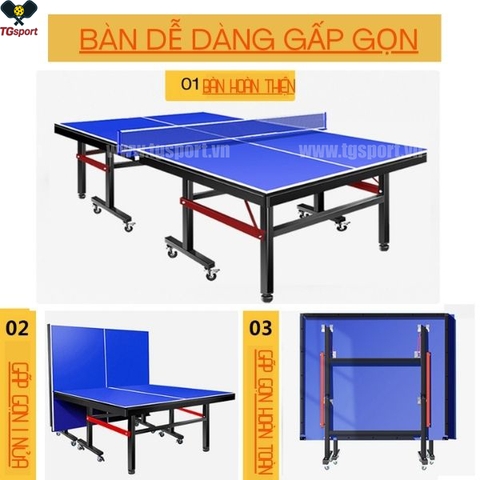 Bàn bóng bàn PT02