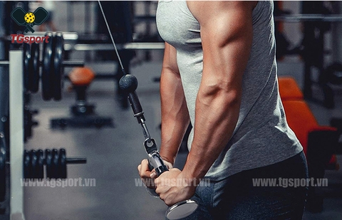 Tay tập kéo xô đôi XD203