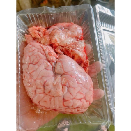 Óc bò 1 túi gần 2 bộ to tươi cấp đông - 400g