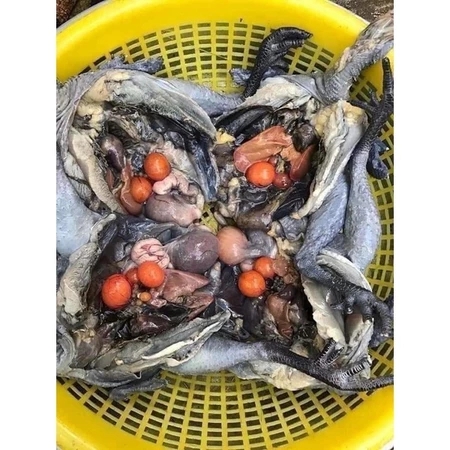 GÀ ÁC 1 con (500g-800g con có trứng con không có trứng)