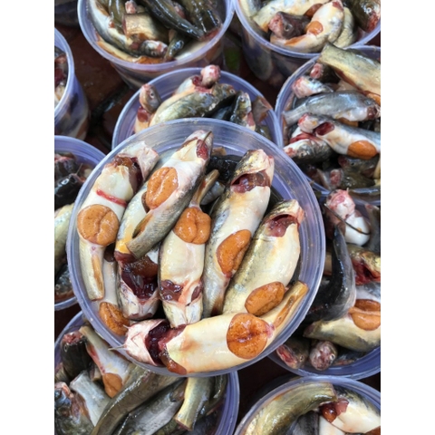 CÁ CHỐT TRỨNG TƯƠI CẤP ĐÔNG hộp 500g