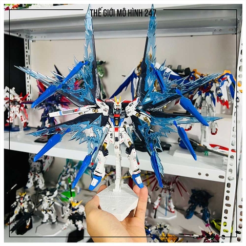 MÔ HÌNH LẮP RÁP HG CE 201 STRIKE FREEDOM FIGHTER + WING (KÈM ĐẾ + DECAL NƯỚC + EFFECT CÁNH)