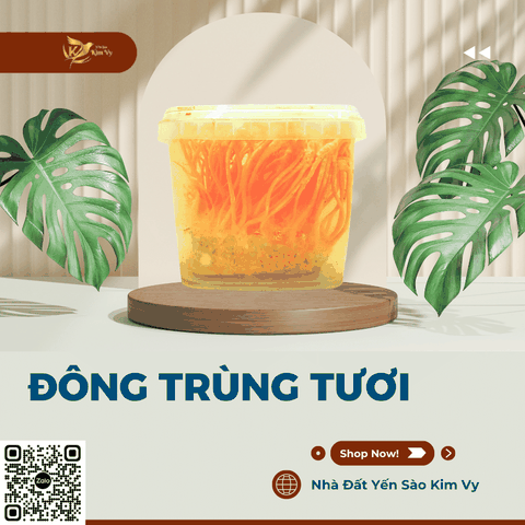 Đông trùng tươi