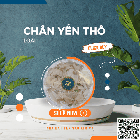 Chân yến Thô loại I