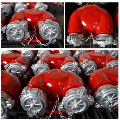 Họng tiếp nước chữa cháy 2 cửa