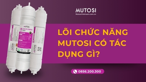 Lõi Chức Năng Mutosi Có Tác Dụng Gì? Giải Đáp Chi Tiết Từng Loại
