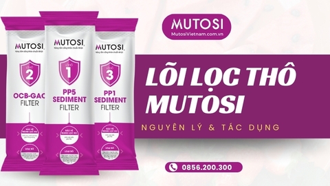 Vai Trò Của Lõi Lọc Thô Mutosi Trong Hệ Thống Lọc RO