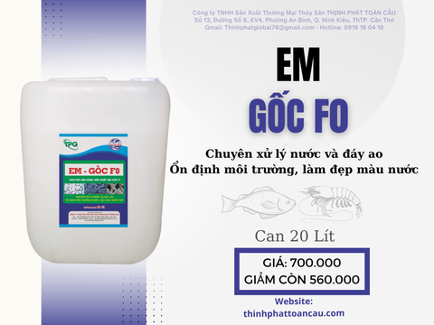 EM GỐC F0 CHẾ PHẨM SINH HỌC GÂY MÀU TRÀ, LÀM SẠCH NƯỚC VÀ ĐÁY AO - CAN 5 LÍT