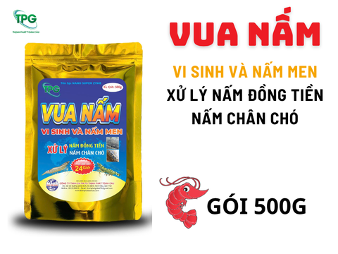 VUA NẤM- VI SINH XỬ LÝ NẤM ĐỒNG TIỀN - GÓI 500G