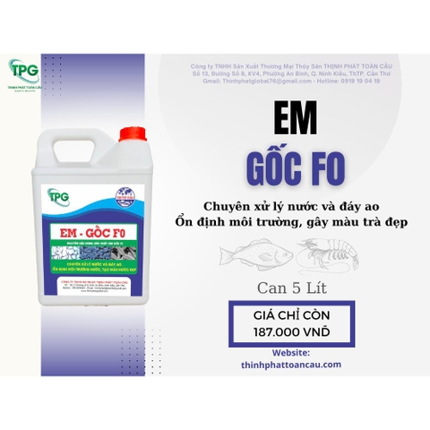 EM GỐC F0 CHẾ PHẨM SINH HỌC GÂY MÀU TRÀ, LÀM SẠCH NƯỚC VÀ ĐÁY AO - CAN 5 LÍT