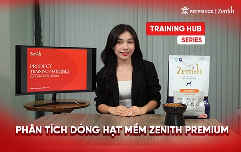 Phân Tích Chuyên Sâu Dòng Hạt Mềm Zenith Premium | Training Hub Series