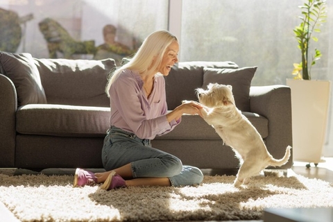 Xu hướng tiêu dùng thú cưng mới: Khi “chăm sóc” trở thành một phong cách sống