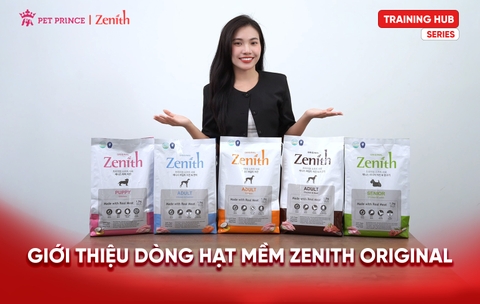 Giới thiệu toàn bộ dòng Zenith Original | Training Hub Series