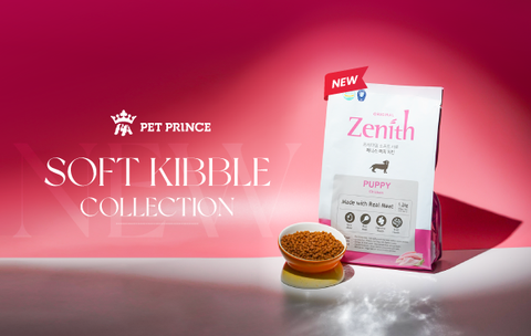 Mở bán Zenith New Collection | Giải pháp tăng trưởng cho đại lý Pet Shop