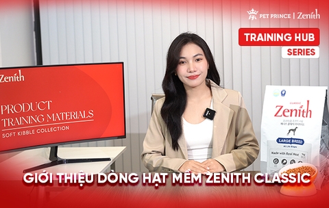 Giới thiệu tổng quan về Zenith Classic | Training Hub Series