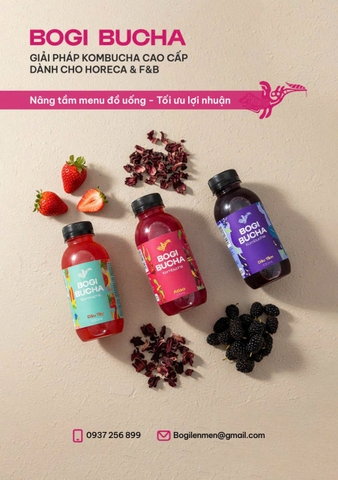 [SET 6 CHAI] BOGI BUCHA KOMBUCHA CHAI 330ML