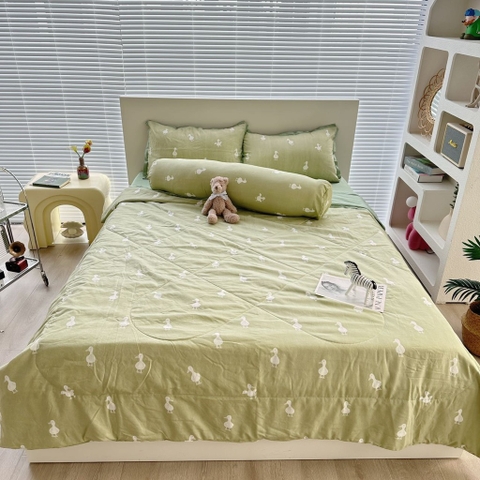 SET CHĂN CHẦN- Set chăn chần xơ đậu 5 món