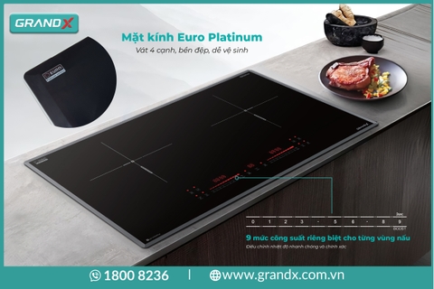 Bếp từ đôi GrandX IH666Plus -  Nhập Malaysia