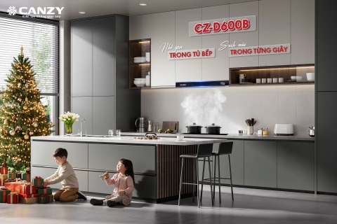 Máy hút mùi Canzy CZ D600B - Âm tủ 60cm - Inverter