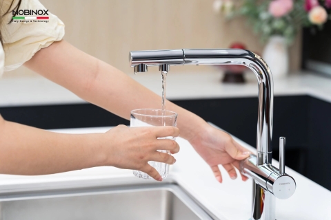 Vòi rửa bát 3 đường nước Nobinox Mira NX333